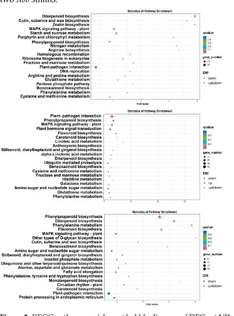 Figure 3 From Transcriptome And Metabolome Analysis Of Rice Cultivar