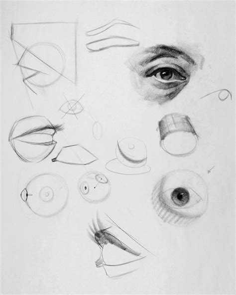 Eye Structure Drawing Easy - Creativeline