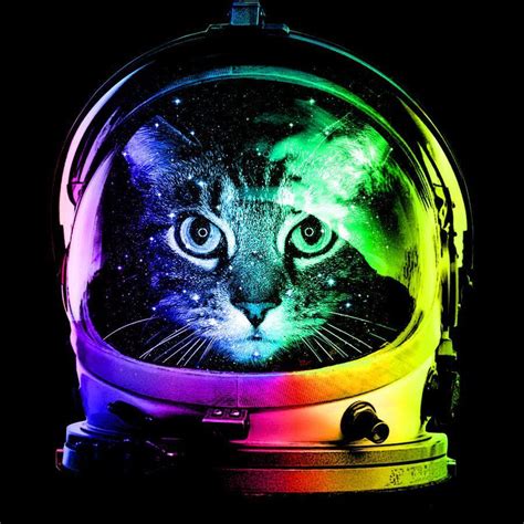 Cat Astronaut Wallpapers Top Free Cat Astronaut Backgrounds