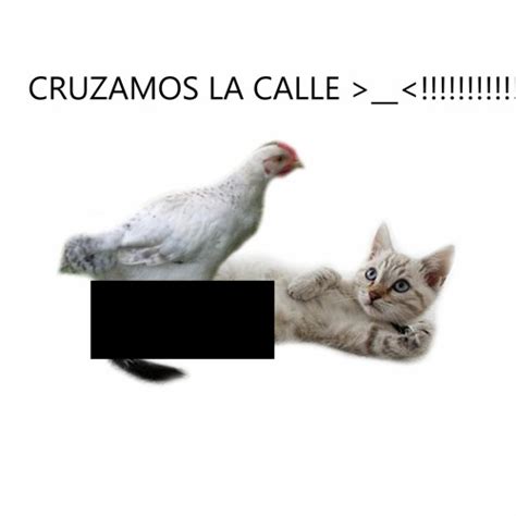 Stream Por Qu La Gallina Cruzo La Calle By Meow