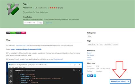 Visual Studio Code Extension Downloader 版 Google Chrome 扩展 下载