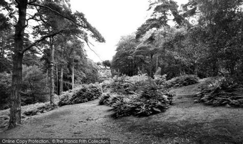 Coombe Woodsshrublands Estate A Nostalgic Memory Of Addiscombe