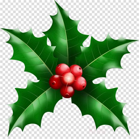 Holly Plant Clipart 10 Free Cliparts Download Images On Clipground 2025