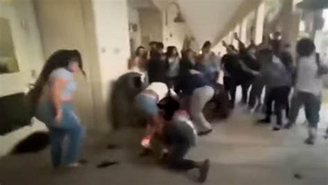 Brutal Pelea Entre Estudiantes En Escuela De Florida Video