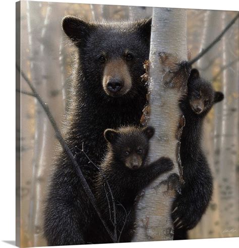 Black Bear Mother and Cubs - Mama Bear Wall Art, Canvas Prints, Framed Prints, Wall Peels ...