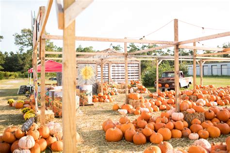 Best Fall Festivals In The Emerald Isle North Carolina Area