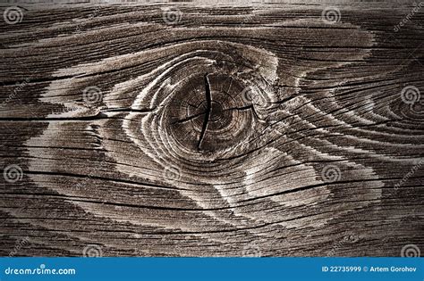 Wood knot stock image. Image of design, rough, macro - 22735999