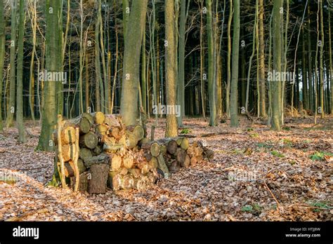 Germany Forest Fire Hi Res Stock Photography And Images Alamy