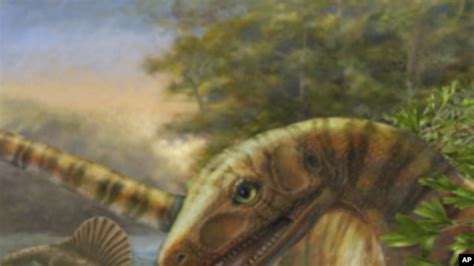 Scientists Discover Earliest Known Dinosaur Relative