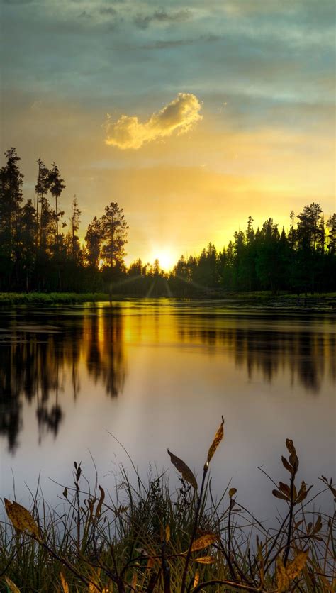 Lago En Bosque Al Atardecer Fondo De Pantalla 4k Ultra Hd Id6692 Images