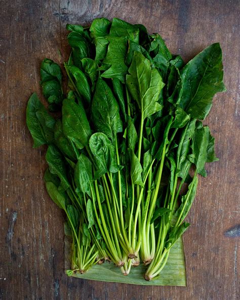 Doctors Reveal the Surprising Benefits of Eating Spinach