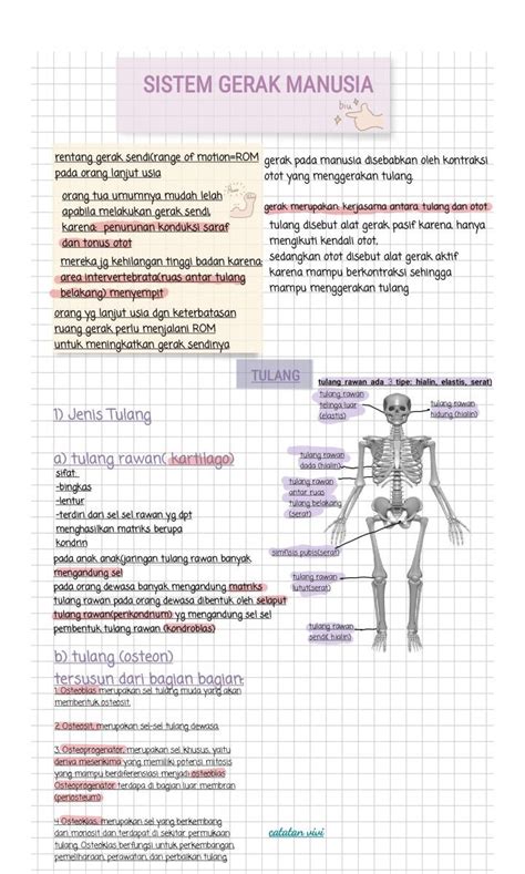 Pin By Fani Shella On Simpan Cepat Word Search Puzzle Words Word Search