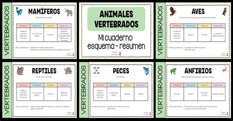 Completo Cuadernillo Para Aprender Sobre Los Animales Vertebrados Y Sus