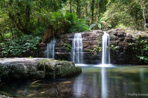 Hiking at Barrington Tops National Park | Blue Gum Loop & Rocky ...