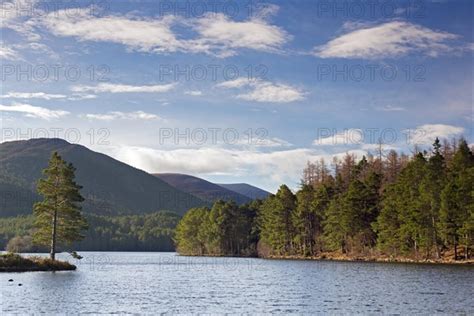 Loch An Eilein In The Rothiemurchus Forest Photo Imagebroker Alimdi