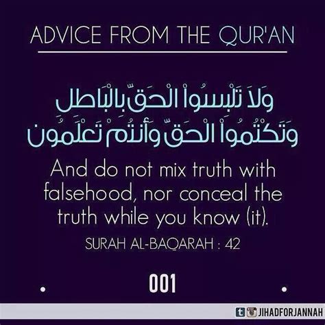 About Truth And Falsehood Quran Quran Verses Islamic Quotes