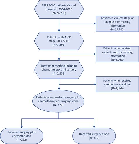 Frontiers Surgery Plus Chemotherapy Versus Surgery Alone For Limited