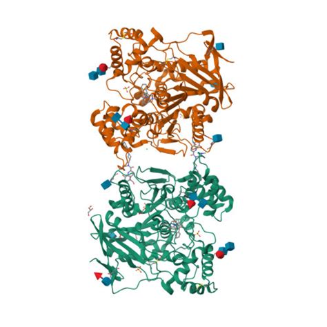 Rcsb Pdb 6f7q Human Butyrylcholinesterase Complexed With N Propargyliperidines