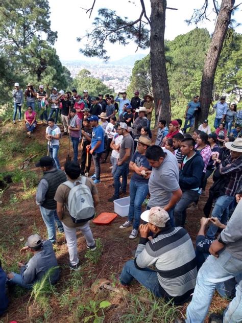 Casas Del Estudiante En Uruapan Reforestan El Cerro De La Charanda