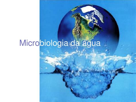 Biologia Da Agua - PPT - Micro biologia da água PowerPoint Presentation, free download ...