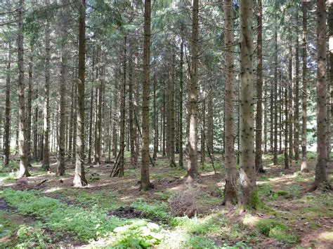 Einsatz F Rs Gr Ne Band Bund Naturschutz In Bayern E V