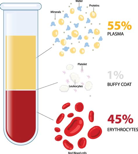 Composition Of Blood Ppt 2