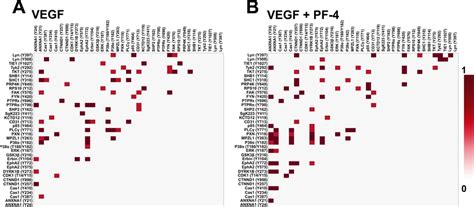 Heatmaps Of Significant Pairwise Correlations In Vegf And Vegf Pf 4