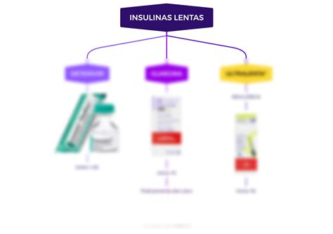 SOLUTION Mapa Mental Insulinas III Studypool