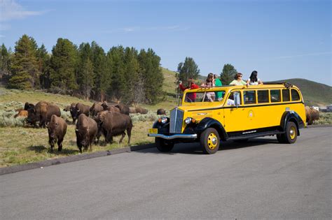 Caravan Tours 2024 Yellowstone - Cloe Nannie