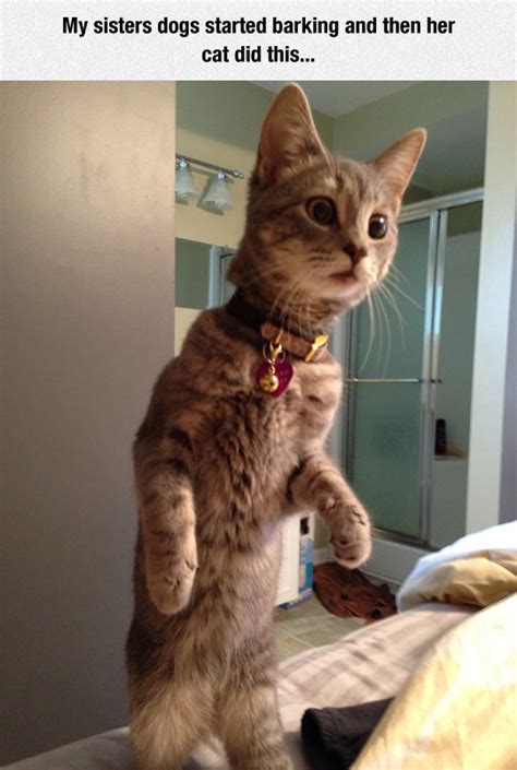 What Is That Awful Sound?