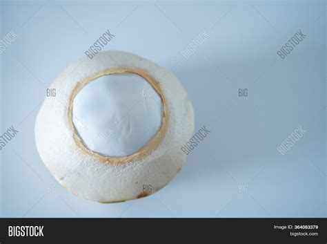 Peeled Coconut Ready Image & Photo (Free Trial) | Bigstock