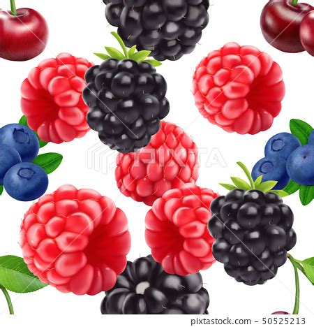 Blackberry Blueberry Cherry And Raspberry Stock Illustration