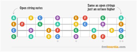 Ukulele Fretboard Notes and How to Learn Them Quickly - Fretboardia