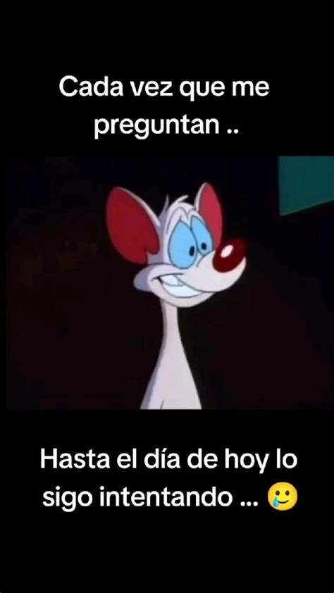 Pin De Sandra M En Mi Dios Pinky Y Cerebro Frases Estados Para