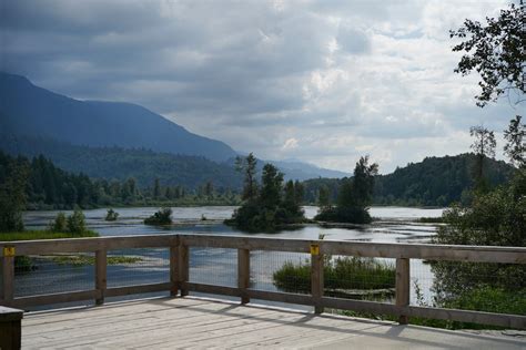 Fraser Valley - The BC Bird Trail - Look Up, Stay Grounded