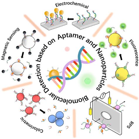 Biosensors Free Full Text Recent Advances In Biomolecular Detection