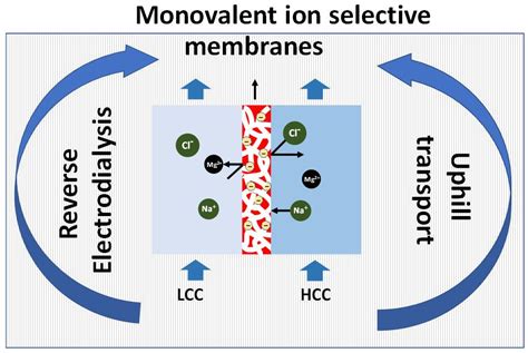 Membranes Free Full Text Design Of Monovalent Ion Selective