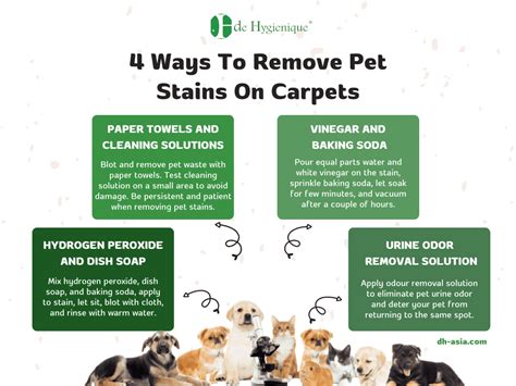 How To Remove Old Pets Stains From Carpet De Hygienique