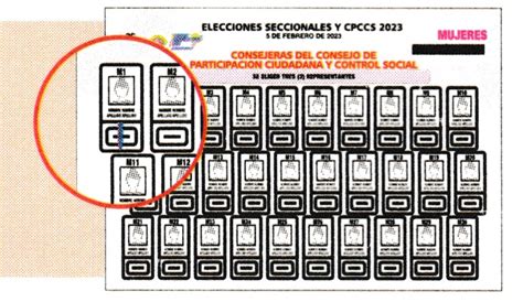 B Escrutinio De Cpccs Control Electoral Pichincha