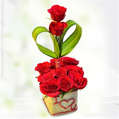 Red Roses Arrangement - Farmerica