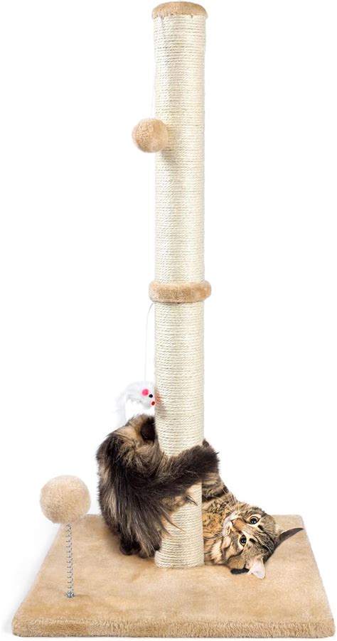 Amazon Anwa Tall Cat Scratching Posts For Indoor Cats In