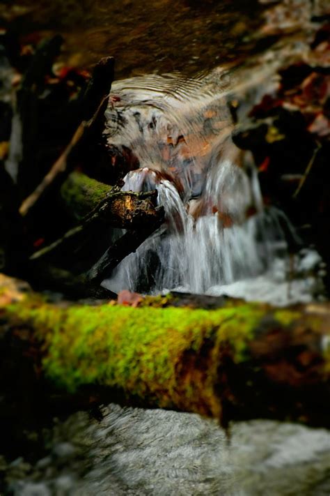 Wildpark Brudergrund Erbach Odenwald Oldtimer Flickr