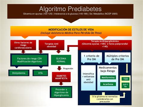 Algoritmo Para El Manejo Integral De La Diabetes Mellitus Tipo 2