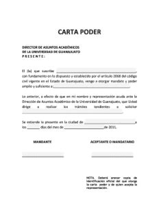 Modelo de Carta Poder de Representación 2025