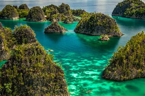 Fakta Raja Ampat Tempat Menyelam Terindah Di Dunia