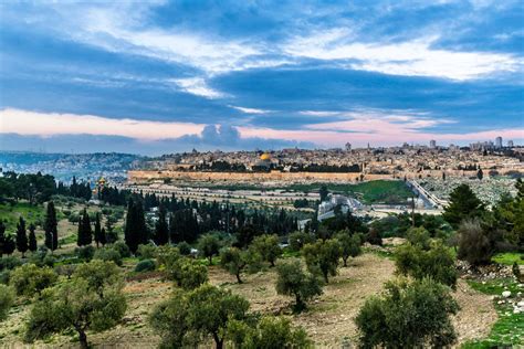 Palestine and Its Natural Beauty – FLAIR MAGAZINE