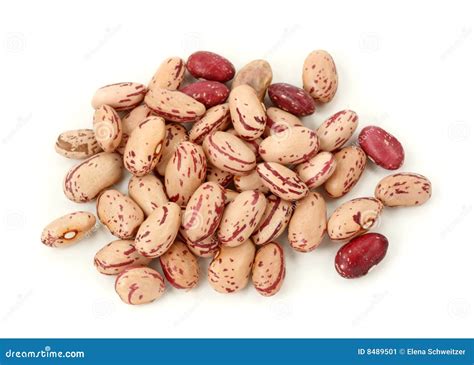 Rosecoco Bean Stock Image Image Of Ingredient Macro 8489501