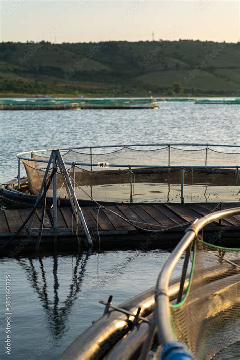 Fish cage Stock Photo | Adobe Stock