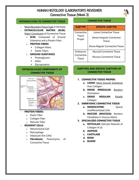 Solution Histology Connective Tissue Laboratory Notes Studypool