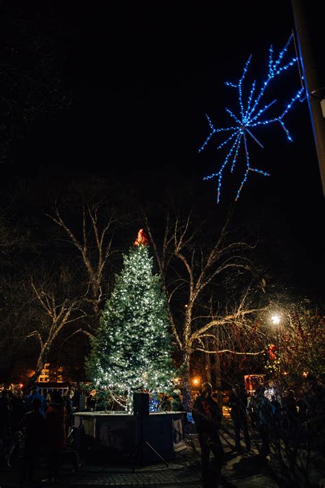 Hyattsville Community Gathers For The Tree Lighting Streetcar Suburbs